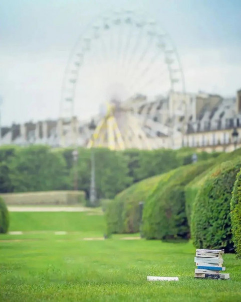 Garden Photo Editing Background New Download Full HD