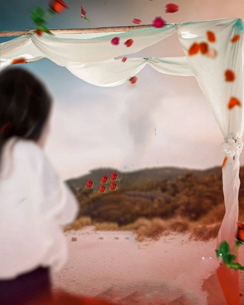 Girl Picsart Cb Editing Background Hd