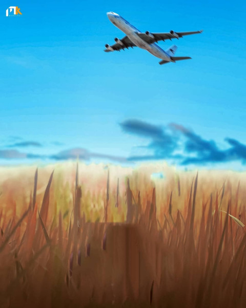 Grass Photo Editing Background Picsart CB