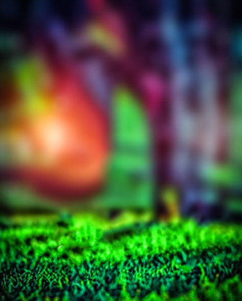 Green Forest CB Picsart Background HD For Photoshop Editing