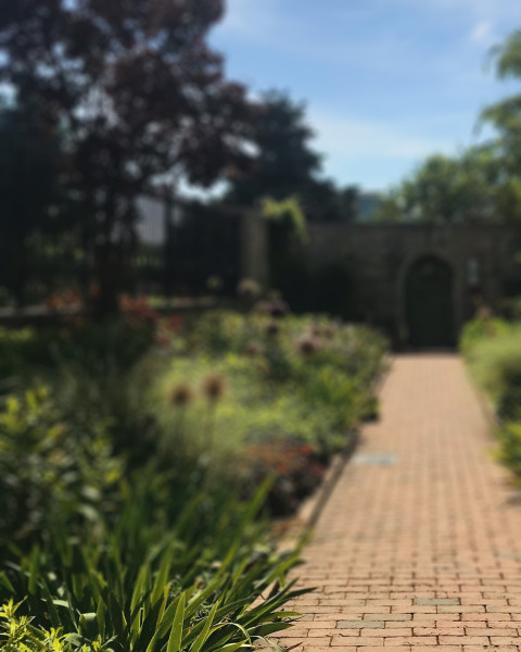 Green Garden CB Picsart Photo editing Background
