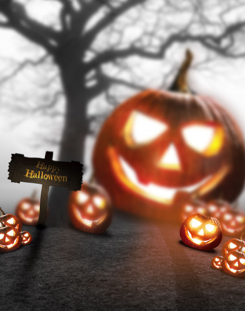 🔥Halloween Photo Editing HD Background for CB Picsart | PngBackground