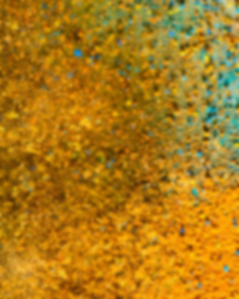 Happy Holi Photoshop CB Editing Background Full HD Viral
