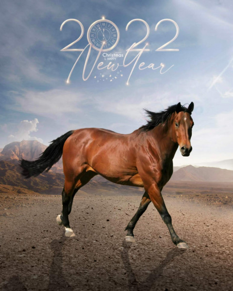 Happy New Year 2022 Horse CB PicsArt Background Editing