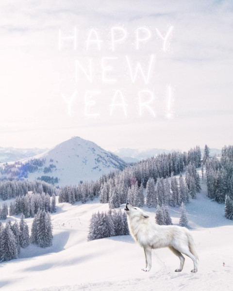 Happy New Year 2023 Winter Hd Backgrounds Free