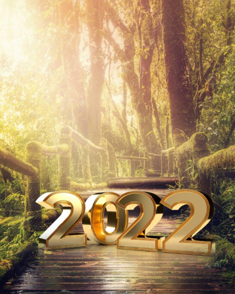 Happy New Year Forest 2022 CB PicsArt Background