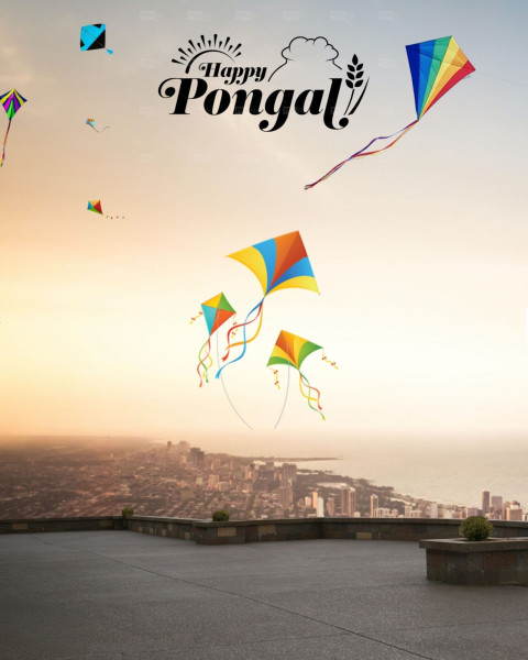 Happy Pongal CB Photo Editing Hd Background