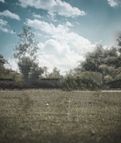 HD Manipulation Background