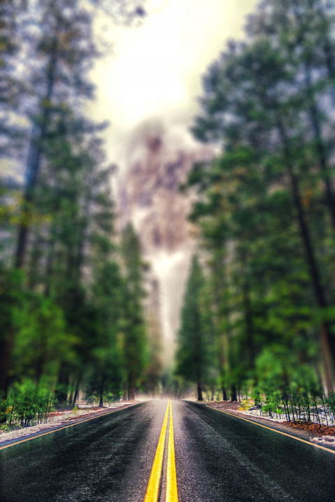 Highway Road Green Forest CB Picsart Background HD New