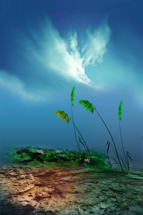 Home Studio Backdrop Cb Background Download Pic