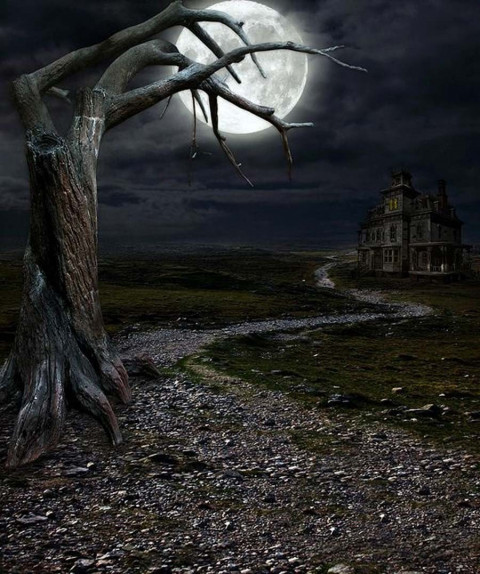 Horror Tree Poster Background For Picsart CB Editing