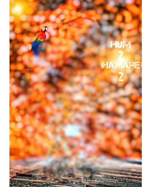 Hum 2 hamare 2 CB Editing Background