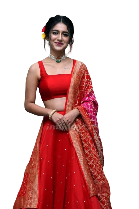 Indian Girl PNG Red Dress Full HD Transparent Backgrounds