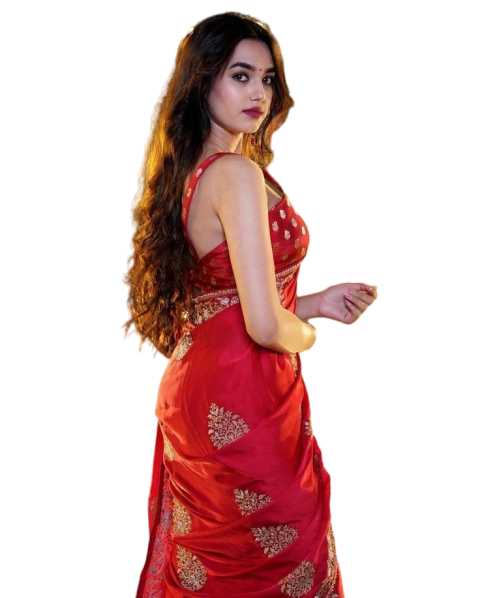 Indian Girl Png Transparent in Red Saree Vector Images HD