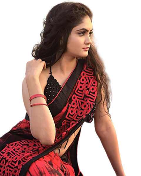 Indian Model Girl Png in Saree Hd