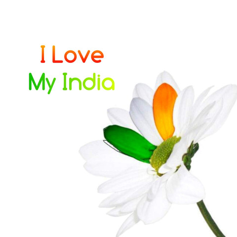 Indian Tiranga Profile Photos For All Social Media Status Dp