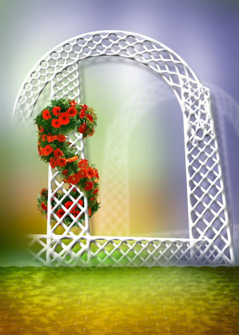 Indoor Studio Backdrop Background Download Pic