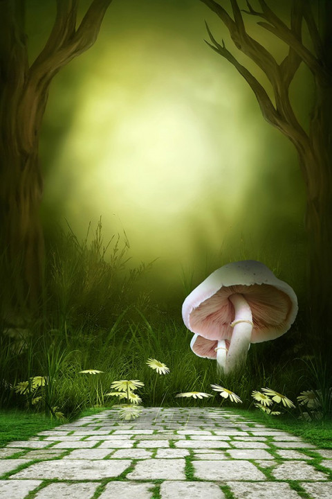 Indoor Studio Flowers Background Download Img