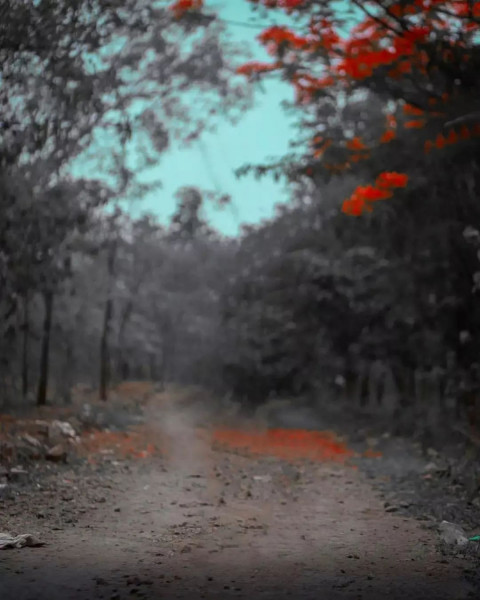 Instagram Photo Editing New Background Full HD Images
