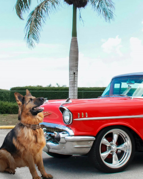 Jeep Picsart Photo Editing CB Background Download