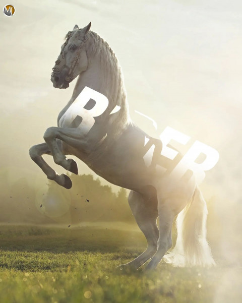 Jumping Horse CB Picsart Viral Background Download Free