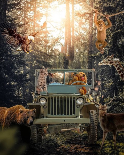Jungle Book Animal Background Full HD