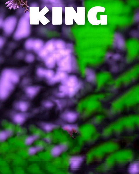 King CB Snapseed Editing Background Download HD