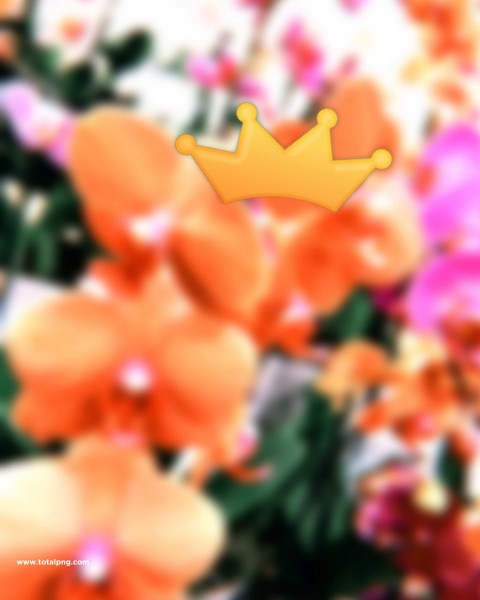 King Creative Editing Background For CB PicsArt