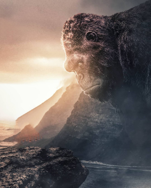 Kingkong Poster Background