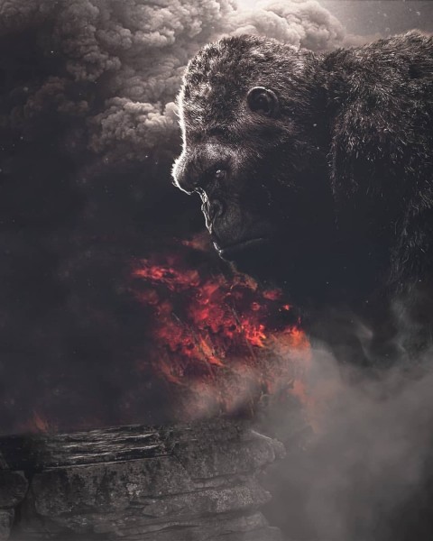 Kingkong Poster Background free download