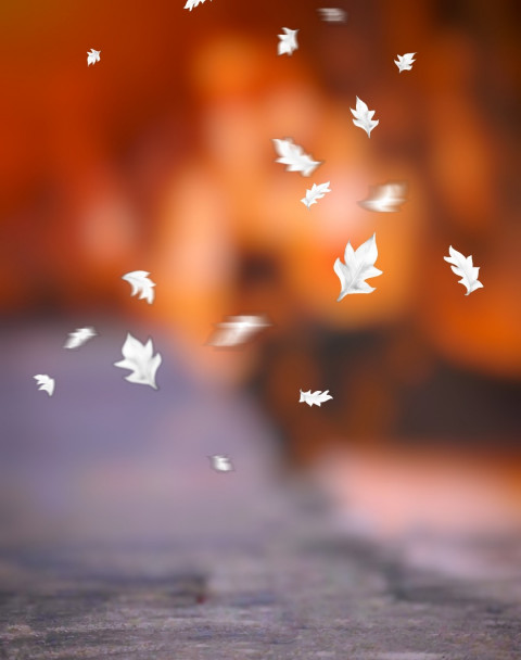 Leaf CB Photo Editing Background HD Download