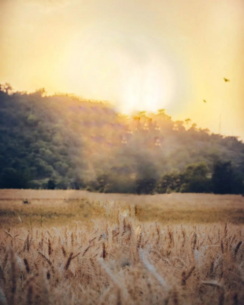 Lightoom Background HD Images Free Download Pic