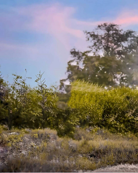 Lightroom Blur HD Background CB Photos Download