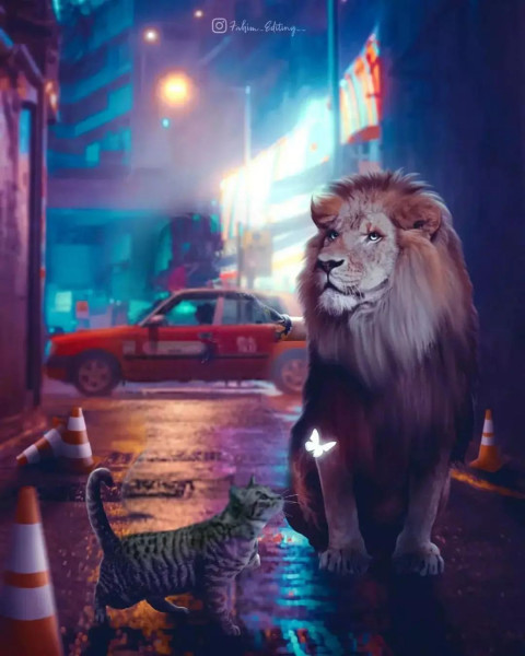 Lion Photoshop New Background Images Download HD