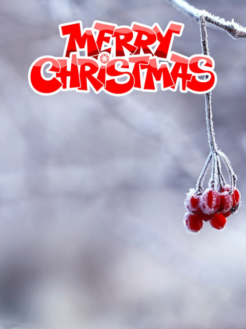 Merry Christmas Backgrounds HD For Cb Photo Editing