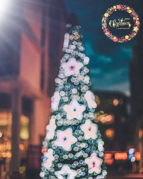 Merry Christmas Day CB PicsArt Editing Background