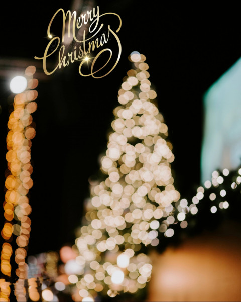 Merry Christmas Day photo Editing Background CB PicsArt