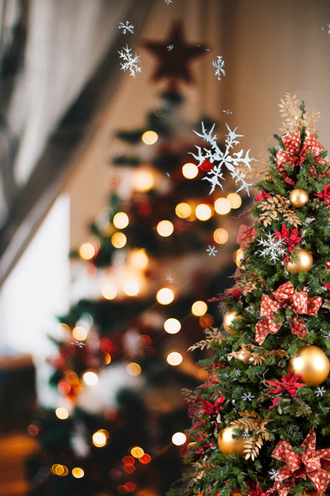 Merry Christmas Editing Tree CB PicsArt Background Full HD