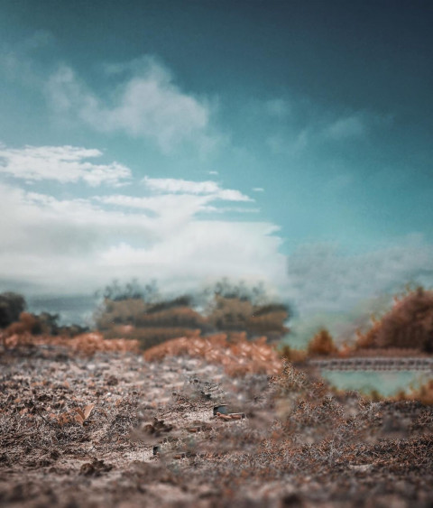 Mrbros Editing Background