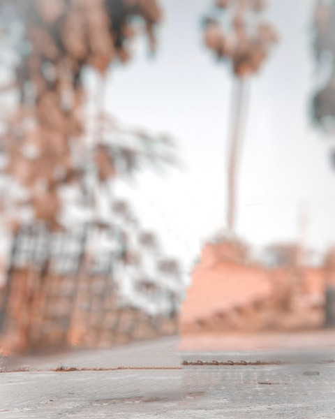Nature Autodesk CB Blur Background For Photo Editing