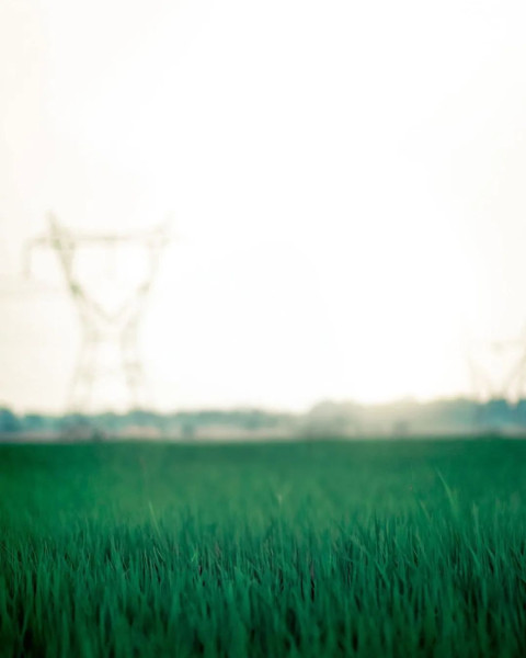 Nature Background HD Images Editing CB Photo  Img