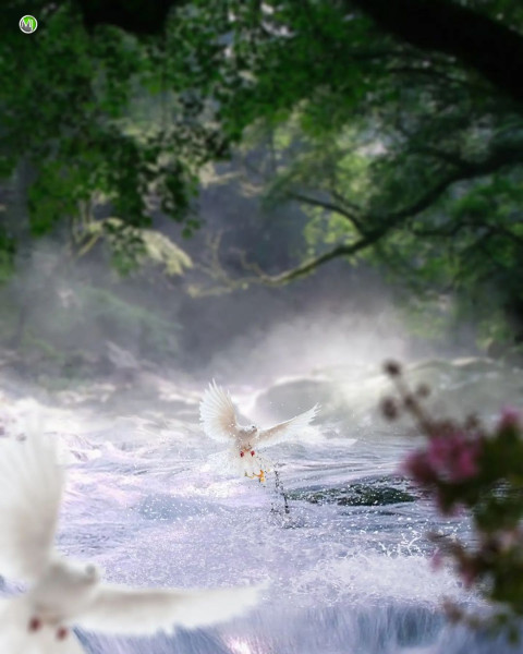 Nature Birds CB Picsart Viral Background Download Free