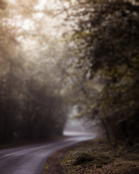 Nature Blur CB Editing Background Download