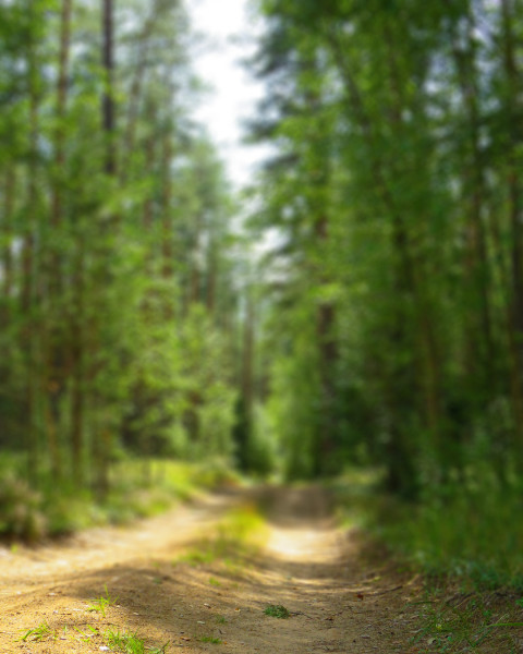 Nature Blur CB Editing Background Download HD