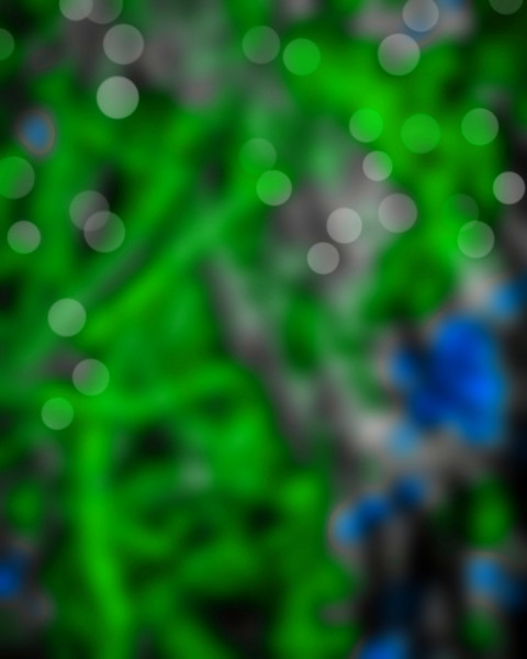 Nature Blur CB Editing Green Background For PicsArt Photo