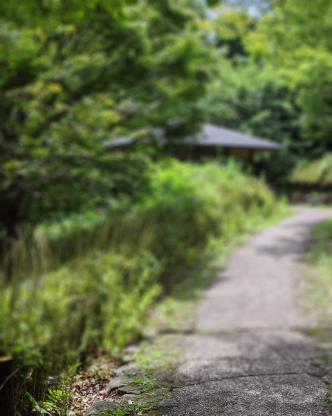 Nature Blur Garden Picsart Editing Background Pics