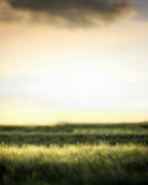 Nature Cb Background For Picsart Editing