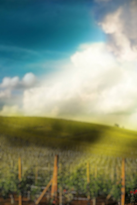 Nature Cb Background HD For Picsart Photo Editing Photos