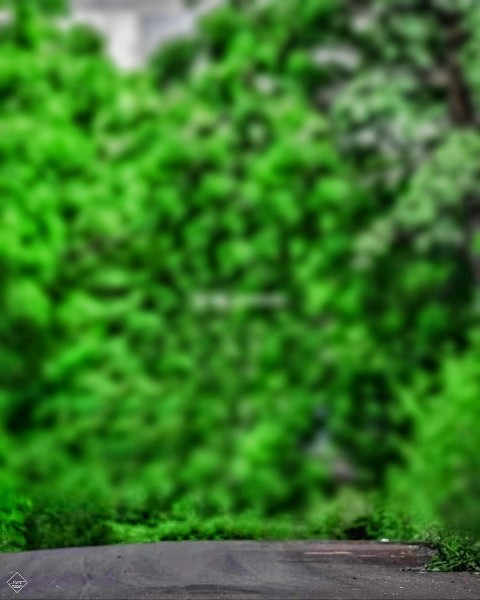 Nature Cb Edit Background hd