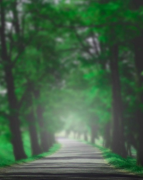 Nature CB Free Background Download